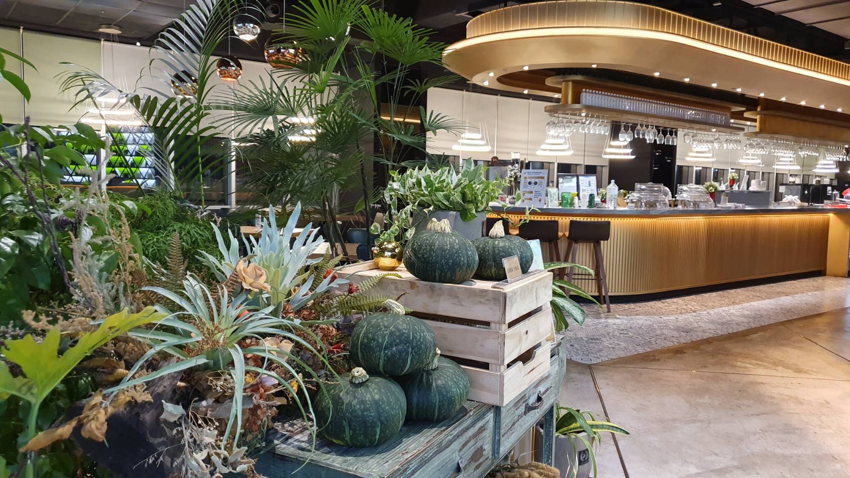 有機綠皮粟子南瓜/箱(2顆)