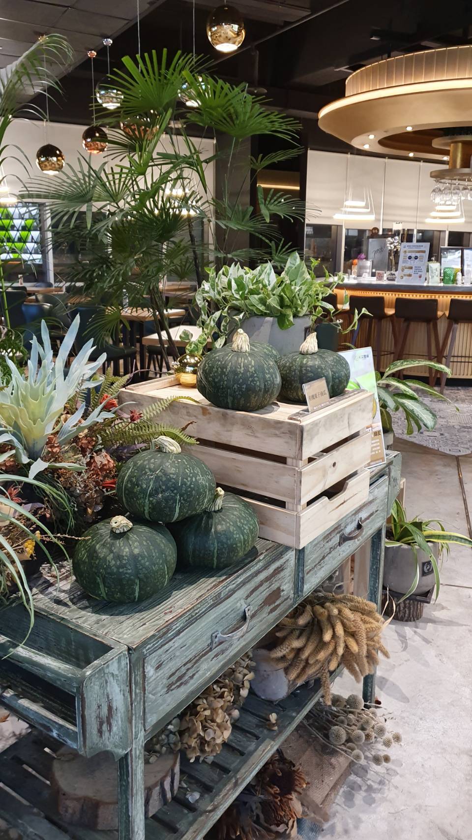 有機綠皮粟子南瓜/箱(2顆)