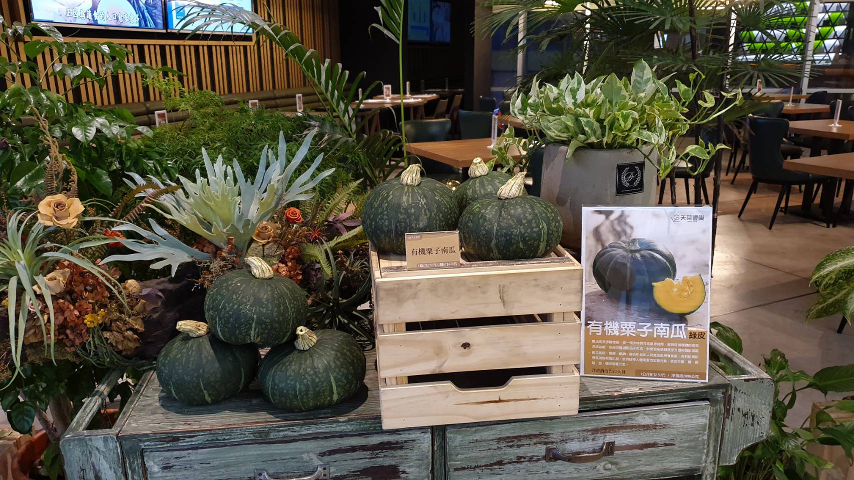 有機綠皮粟子南瓜/箱(2顆)