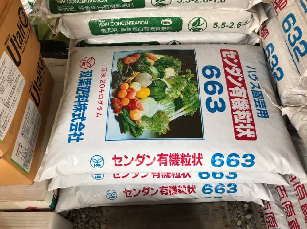 有機綠皮粟子南瓜/箱(2顆)